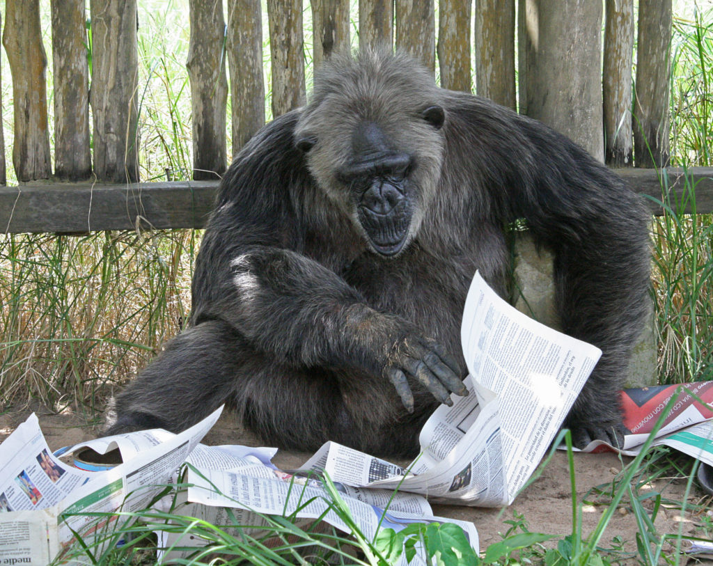 LaVielle reads the newspaper