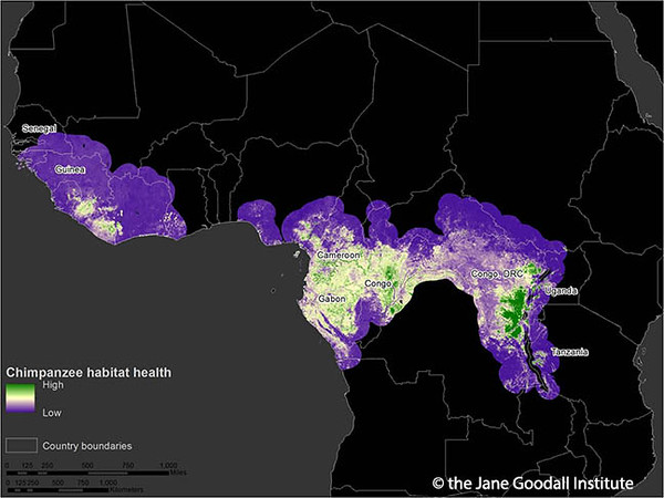 Lilian Webinar Image 18