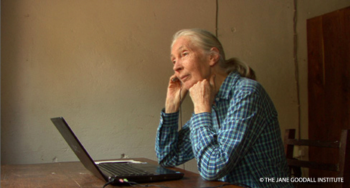 Dr. Jane Goodall takes a Skype Call