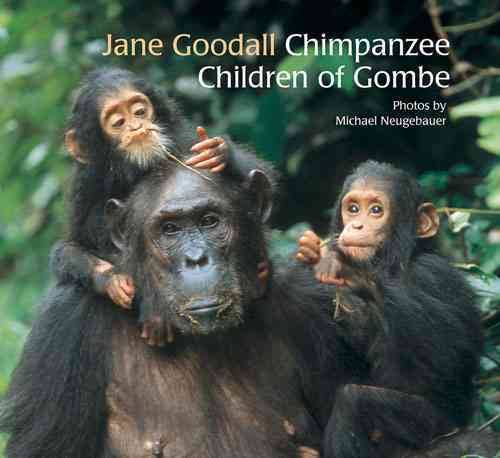 The Chimpanzee Children of Gombe