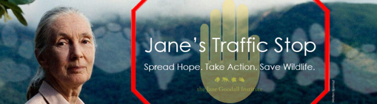 Jane’s Traffic Stop: The Fight to End Illegal Wildlife Trafficking