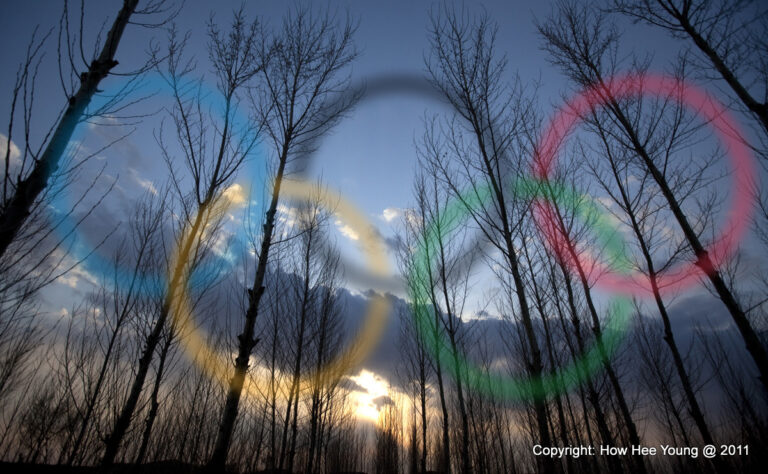 Going for the Gold Leaf: The One Million Tree Project