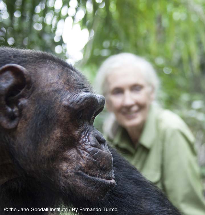 Ulengue after his release at Tchindzoulou Island.