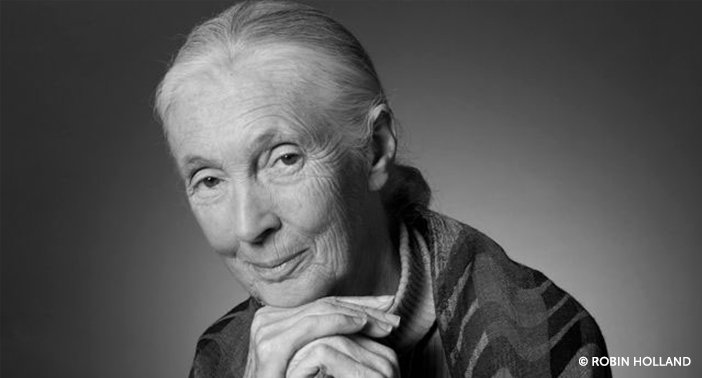 RobinHolland_JaneGoodallPortrait