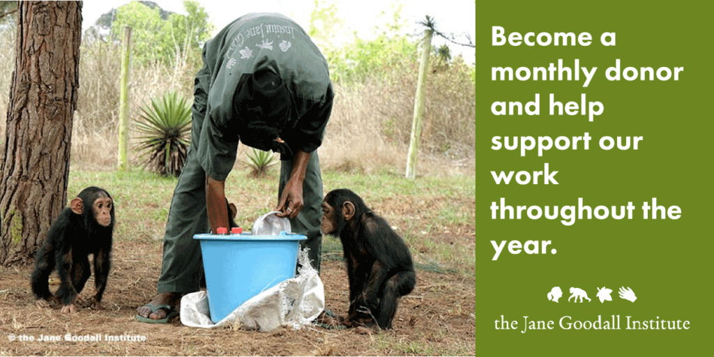 Sustainerdonor_GiftGuide_JaneGoodallInst