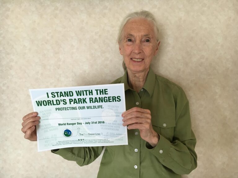 Where Wildlife Are in Danger, There Exists a Thin Green Line