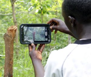 JGI Forest Monitoring