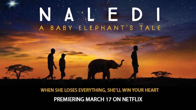 naledi poster