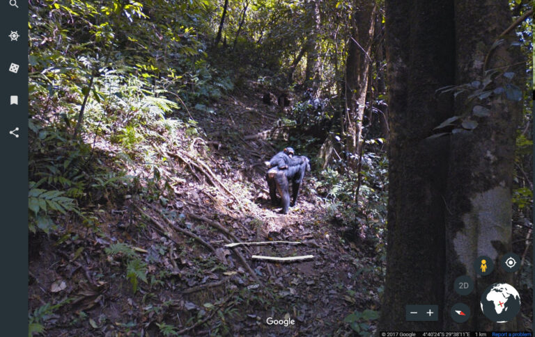 See the World Through Jane Goodall’s Eyes with the New Google Earth