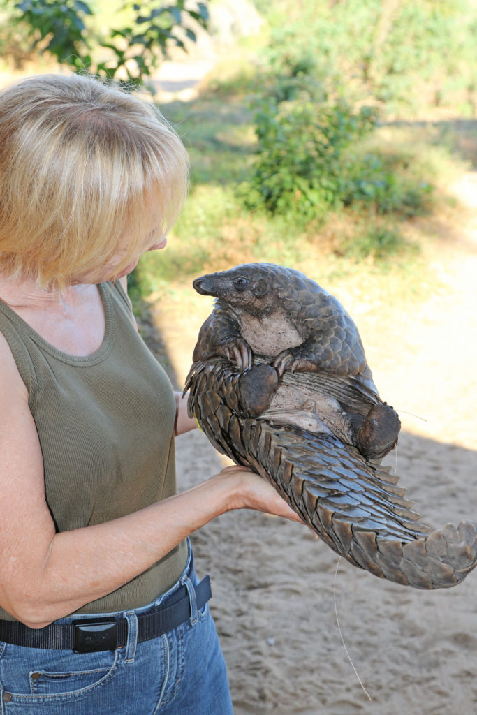 Becci Crowe & Pangolin