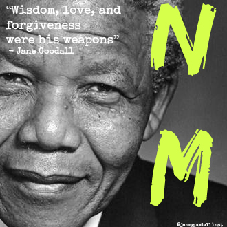 nelson mandela inst