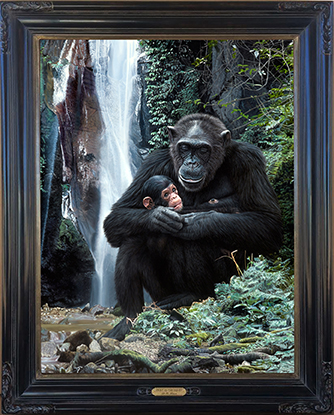 Bruce Lawes- Frame for Spirit of the Forest low res