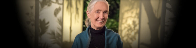 Five Things You’ll Learn in Dr. Goodall’s MasterClass