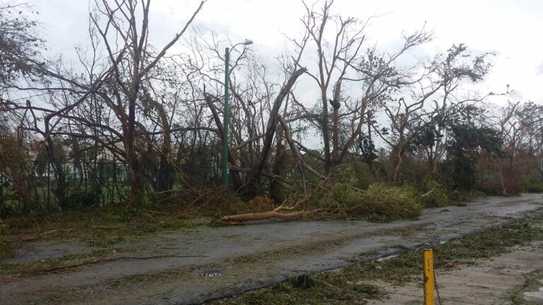 A Local’s Advice: How to Help Puerto Rico