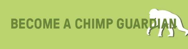 chimp guardian button