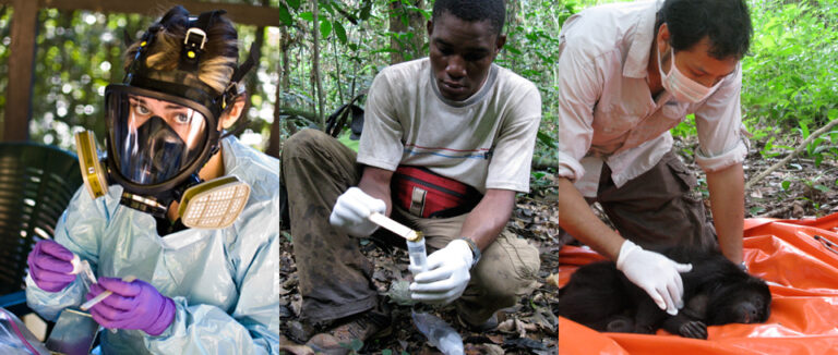 Pathogens, Primates & Human Populations, OH MY! An Interview with Thomas Gillespie