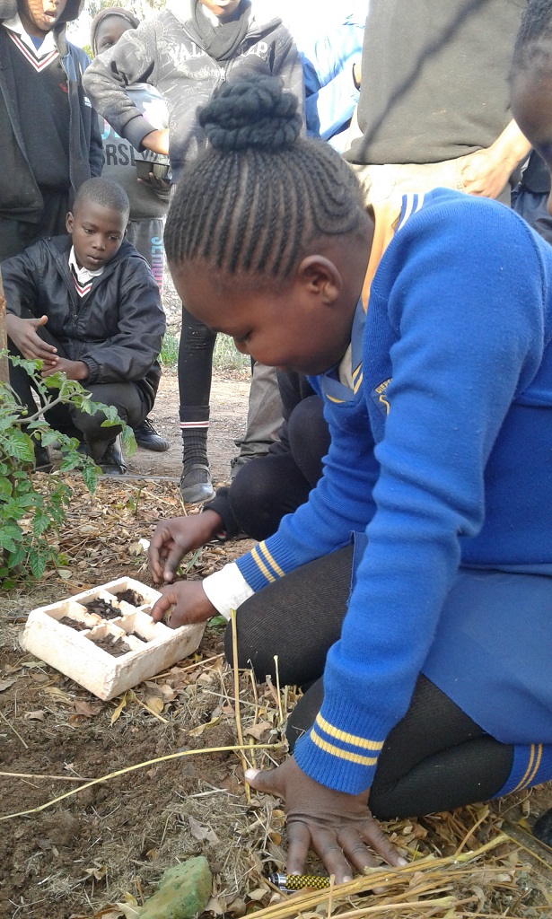 Diepsloot Greening club