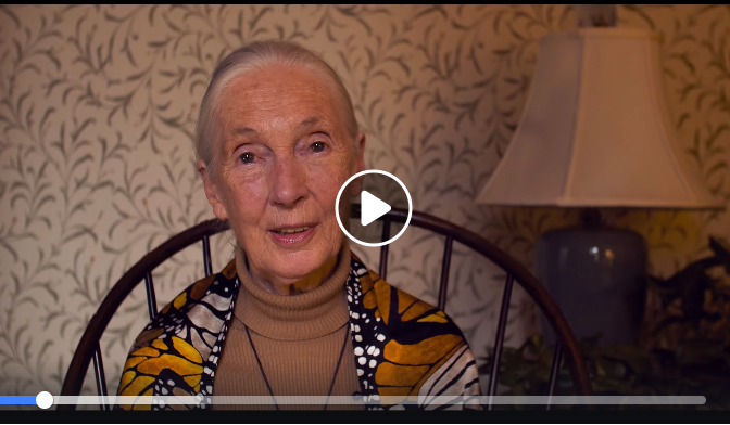 Dr. Jane Goodall certainly inspires hope through action. It was a