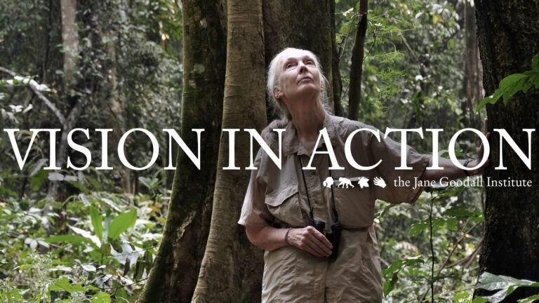 We’re Taking Jane’s Vision To the Next Level