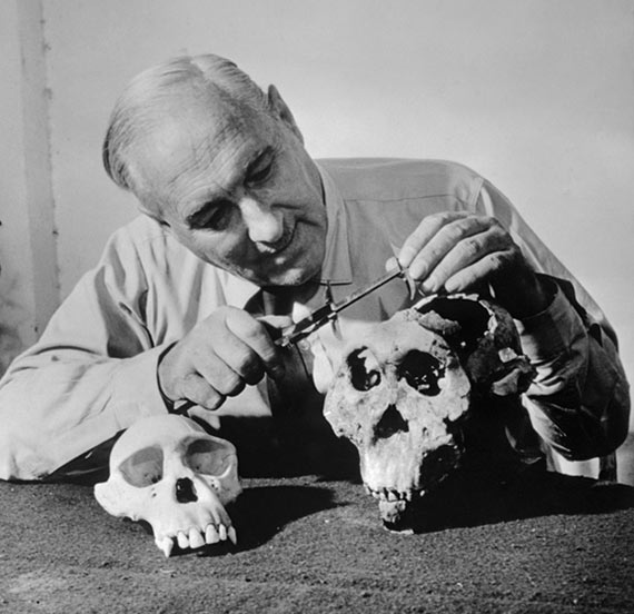 Leakey and Goodall: Scientists Who Changed How We Define ‘Human’