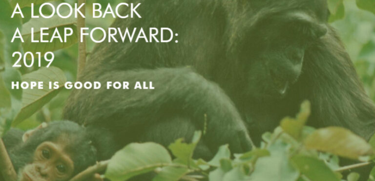 A Look Back, A Leap Forward: Hope is Good for All