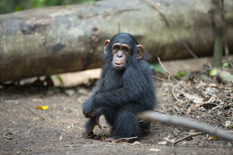 A Story of Hope: Johana, Rickita, & Tina