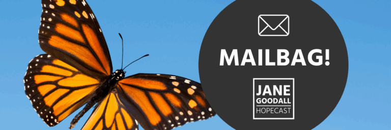 SUBMIT TO THE JANE GOODALL HOPECAST MAILBAG