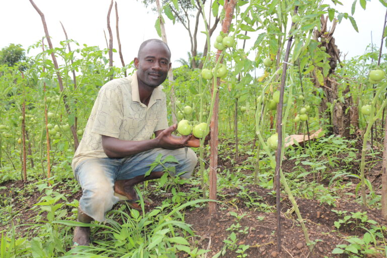 Composting for Forest Protection & Sustainable Development