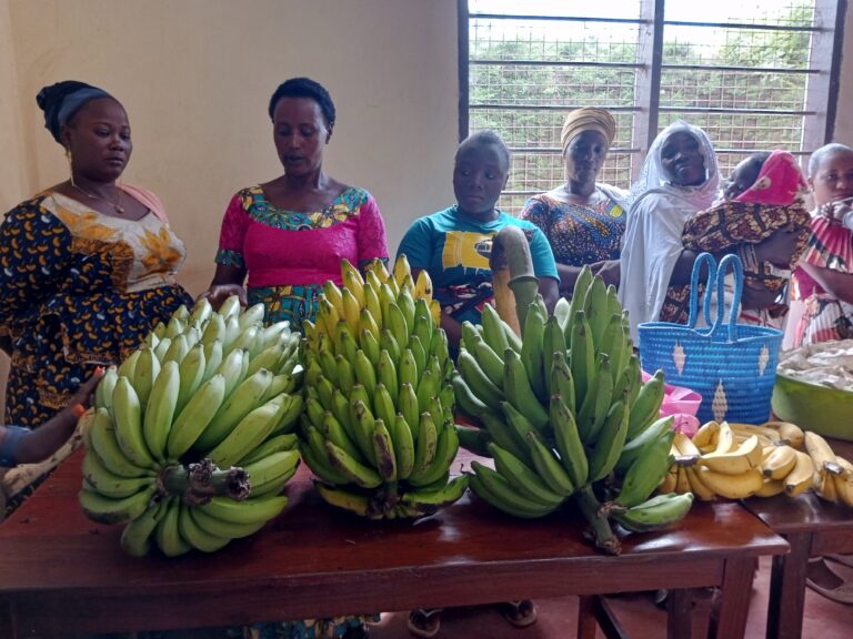 JGI’s Community Microcredit Programs Expand Horizons for Sustainable Development