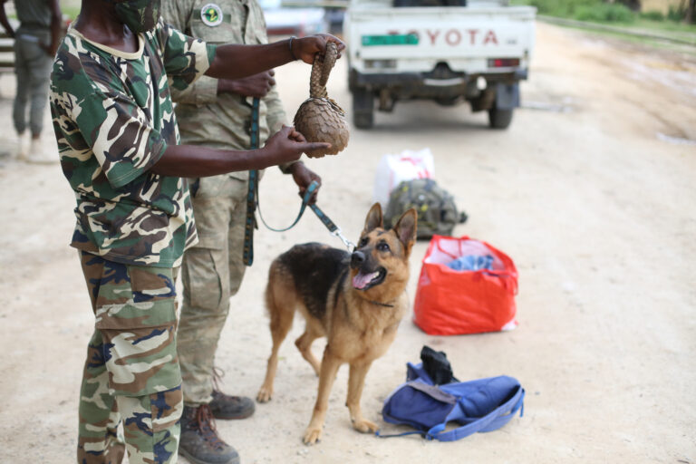 SNIFFER DOG PROGRAM – KIVULI & RANGER ARSENE: BEST FRIENDS IN ACTION