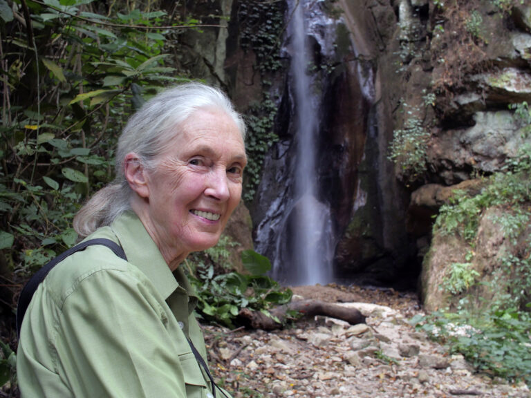 Dr. Jane Goodall’s 2022 Year End Message of Hope