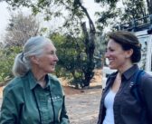 Notes From the Field: Anna Rathmann, JGI USA Executive Director in Gombe