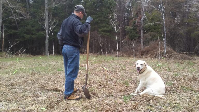 Inspiring Youth Project: Native Wildlife Winter Wonderland