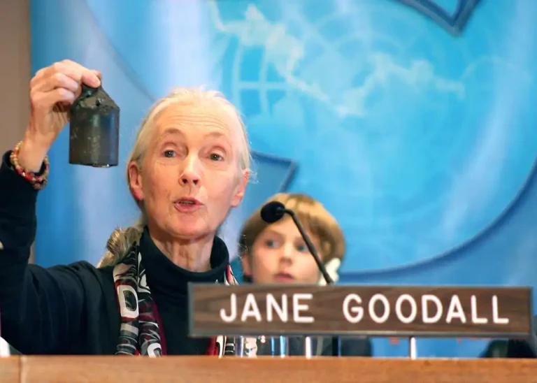 Reflections on the 2023 United Nations International Day of Peace