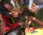 Roots & Shoots USA Awards 261 Grants to Support Impactful Projects