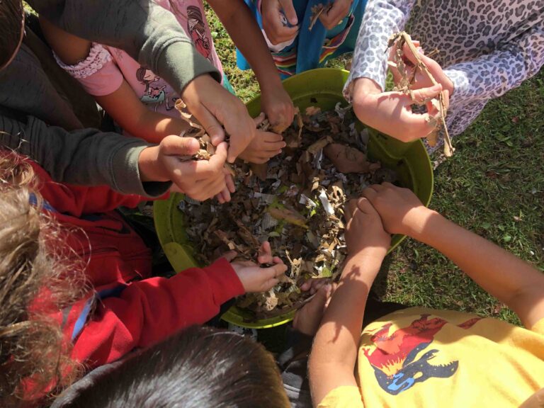 Roots & Shoots USA Awards 261 Grants to Support Impactful Projects