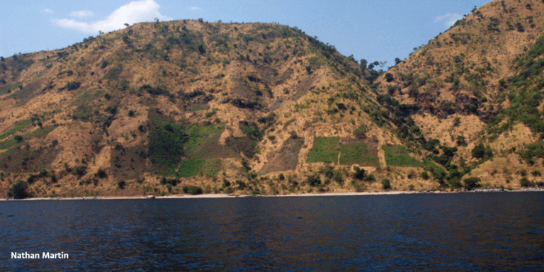 An Urgent Call for Integrated Solutions at COP28