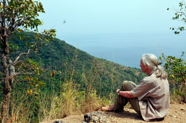 An older woman (Dr. Jane Goodall) sits on the ground, knees tucked in to her chest, with her arms clasped around her legs. She is in a beautiful outdoor setting, overlooking trees and water, and is gazing out onto the scenery. She wears her white hair tucked back into a low ponytail, a tan short-sleeved, button-down shirt and light green pants, and tan sandals.