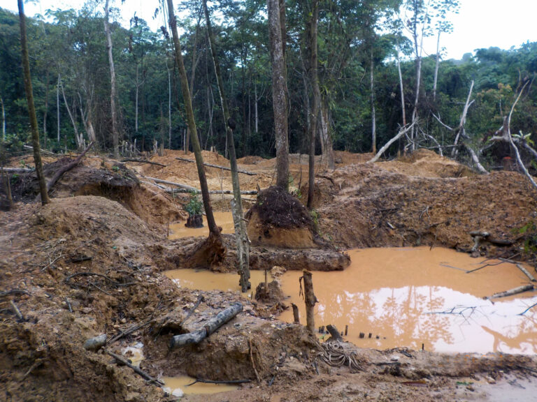 A patch of forested area in a state of destruction including tree stumps, piles of dirt, and puddles of mud.