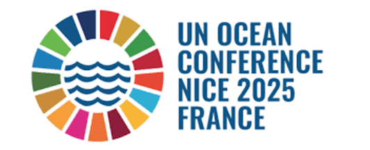 &ldquo;Oceans, like forests, are essential&rdquo;: JGI at the UN Oceans Conference (UNOC)