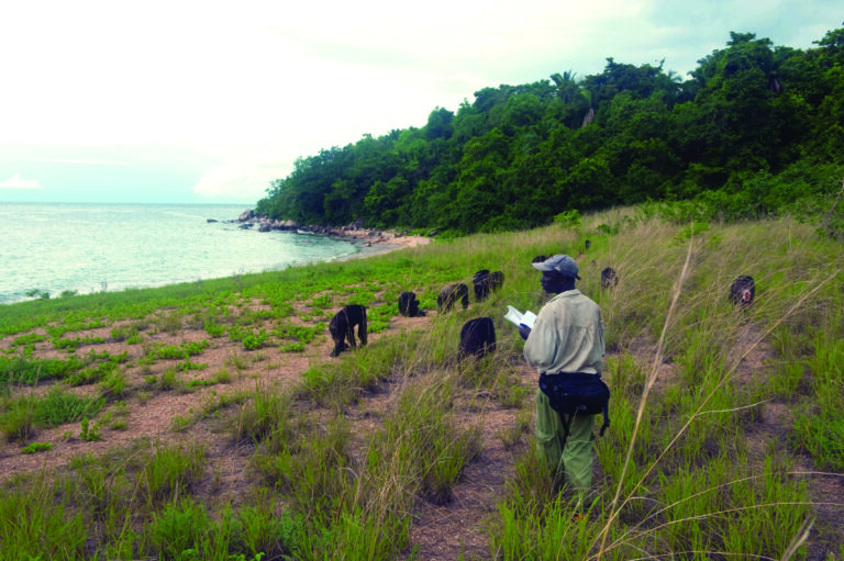 Voices of Gombe: A Network of Impact