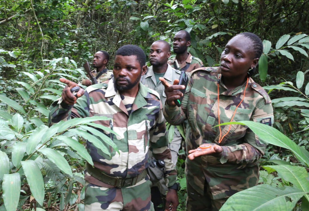 Photo for the article World Wildlife Day 2026: A Unified Global Response to Wildlife Trafficking