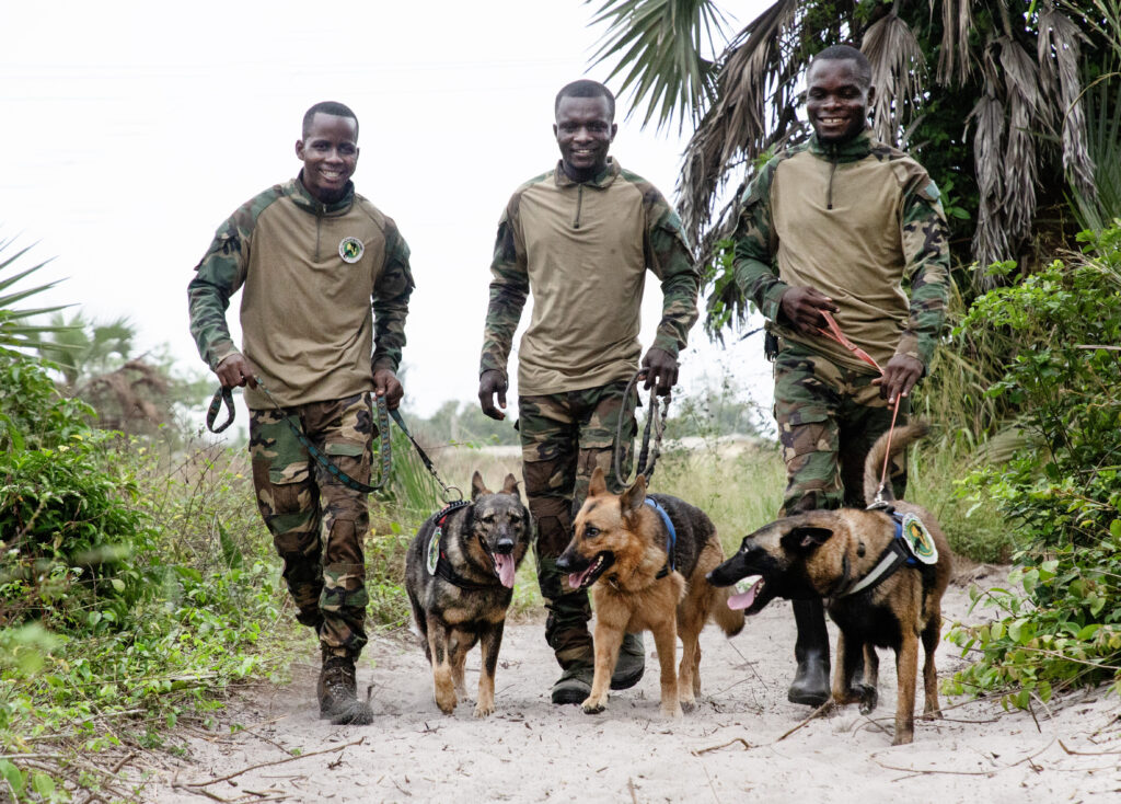 Photo for the article World Wildlife Day 2026: A Unified Global Response to Wildlife Trafficking